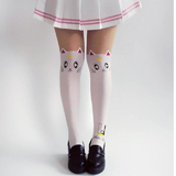 Kitten Tights Socks