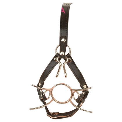BDSM Toys > Gags, Hoods, Blindfolds > Head Harnesses