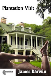 Erotic Fiction Plantation Visit By James Darwin 2017 Male Dom M/F Sex Slavery Training