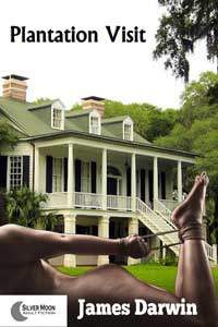 Plantation Visit By James Darwin 2017 Male Dom M/F Sex Slavery Training Erotic Fiction
