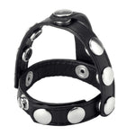 Snap On  And Ball Harness  & Ball Toys