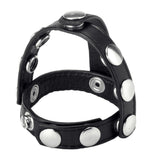 Snap On  And Ball Harness  & Ball Toys