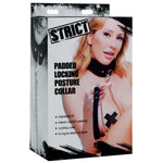 Padded Locking Posture Collar Collars & Leashes