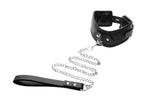 Padded Locking Posture Collar Collars & Leashes