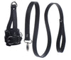 Strict Ball Stretcher With Leash Collars & Leashes
