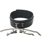 Coveted Collar And Clamp Union Nipple & Clitoral Toys