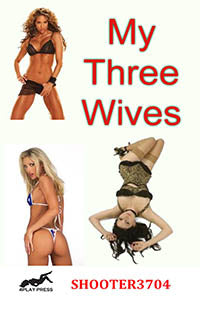 Erotic Fiction My Three Wives By Shooter3704 2008 Interracial Erotica General