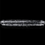 Clear Double Dildo 12In Dildos