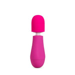 Rose Petite Massage Wand Pink Massagers & Wands