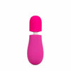 Rose Petite Massage Wand Pink Massagers & Wands