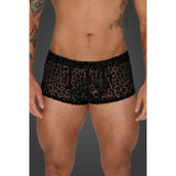 Leopard Flock Short Shorts Other Erotic Clothing