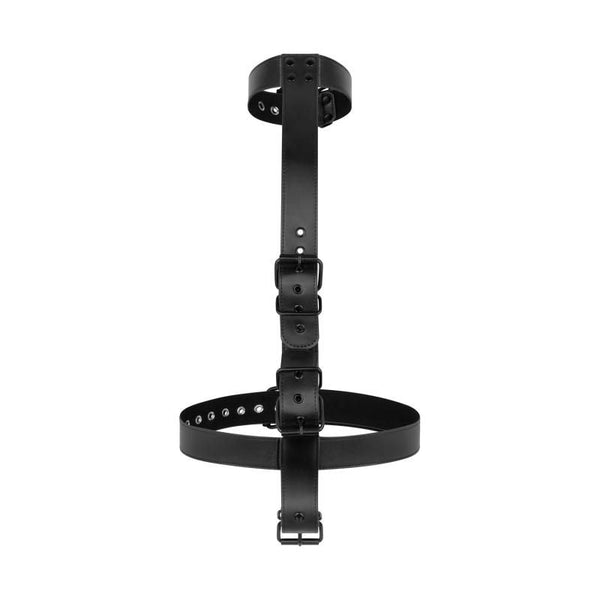Collar With Wrist Cuffs Body Restraint Collars & Leashes