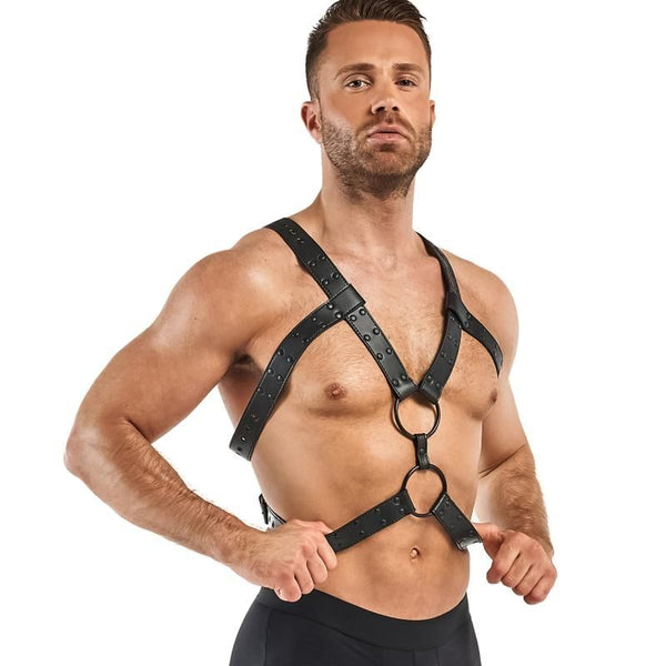 Rocco  Harness Black Body Harness