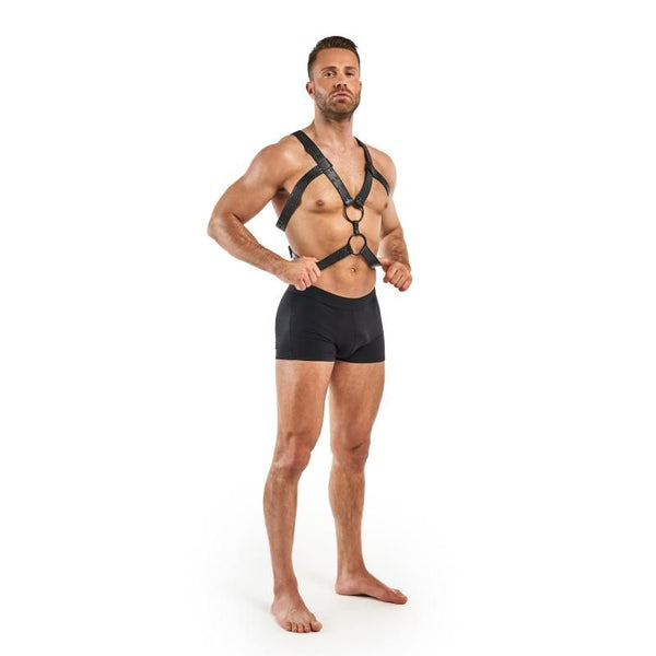 Rocco  Harness Black Body Harness