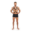 Rocco  Harness Black Body Harness