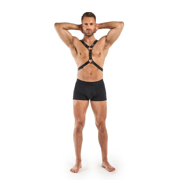 Max  Harness Black Body Harness