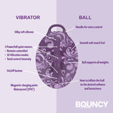 Bouncy Bliss Classic Inflatable Sit On  Classic s