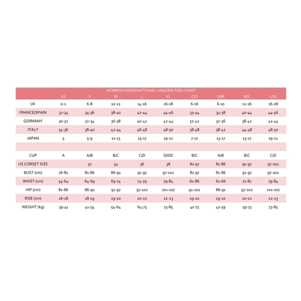 Dreamgirl Fence Net Thigh High Black Stockings