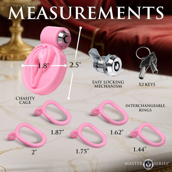 Pussification Vulva Chastity Cage Chastity Toys