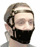 Ball Gag Head Harness Mask Muzzle Blindfold Bondage Kink Bdsm Fetish Restraints