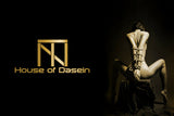House Of Dasein Leather Harness Lingerie Body  Kink  Fetish Restraints  Clothing