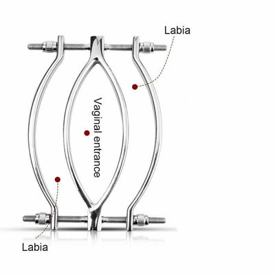Stainless Steel Metal Clamps  Vagina Speculum Labia Spreader Nipple & Clitoral Toys