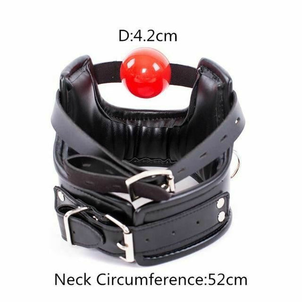Soft Padded Collar Head Harness With Red Ball Gag  Toys Collars & Leashes