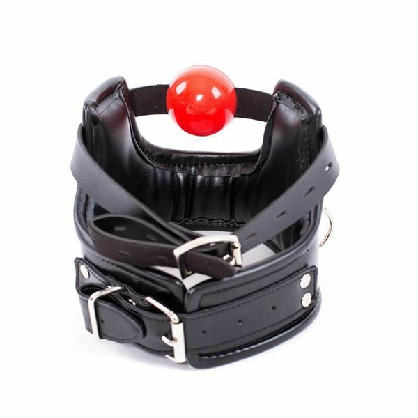 Soft Padded Collar Head Harness With Red Ball Gag  Toys Collars & Leashes