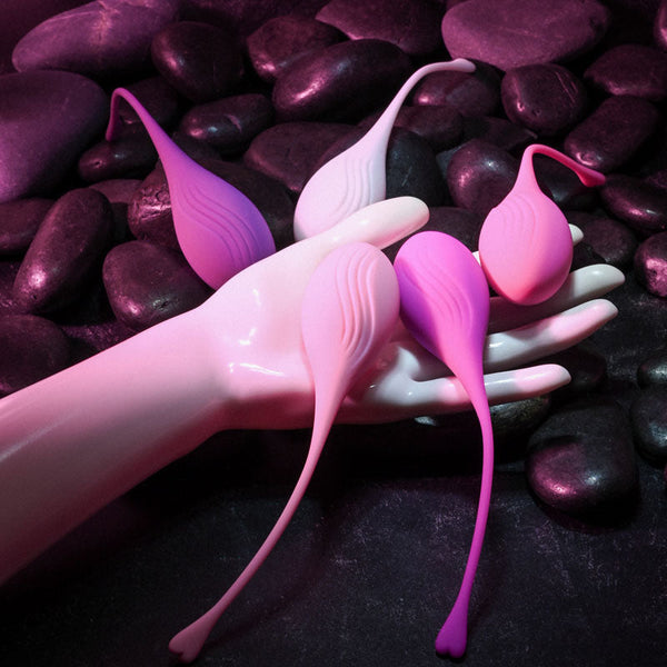 Evolved Tight & Delight Kegel Trainer Set 5 Piece Kit Kegel Exercisers