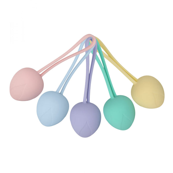 Loveline Pelvifit Berry Coloured Kegel Kit Set Of 5 Sizes Kegel Exercisers