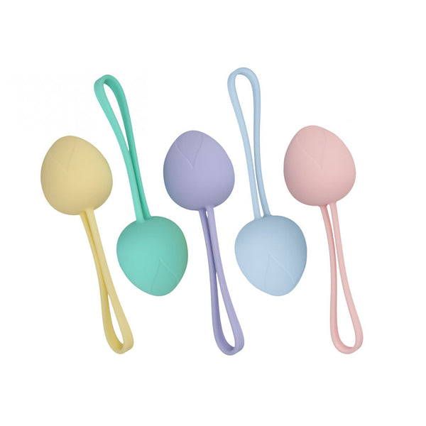 Loveline Pelvifit Berry Coloured Kegel Kit Set Of 5 Sizes Kegel Exercisers