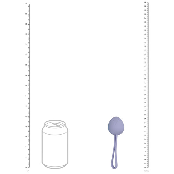 Loveline Pelvifit Berry Coloured Kegel Kit Set Of 5 Sizes Kegel Exercisers