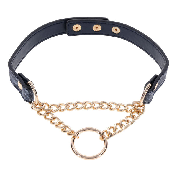 Sex & Mischief Cougar Day Collar Navy Blue/Gold Collars & Leashes