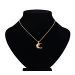 Veile Studios Smooth Moon Urn Necklaces Hold Human Pet Ashes Stainless Steel Memorial Pendant Necklaces & Pendants