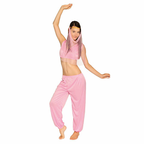 Ladies Arabian Princess Costume Belly Dancer Genie Fancy Party Dress Adult Women's Costumes