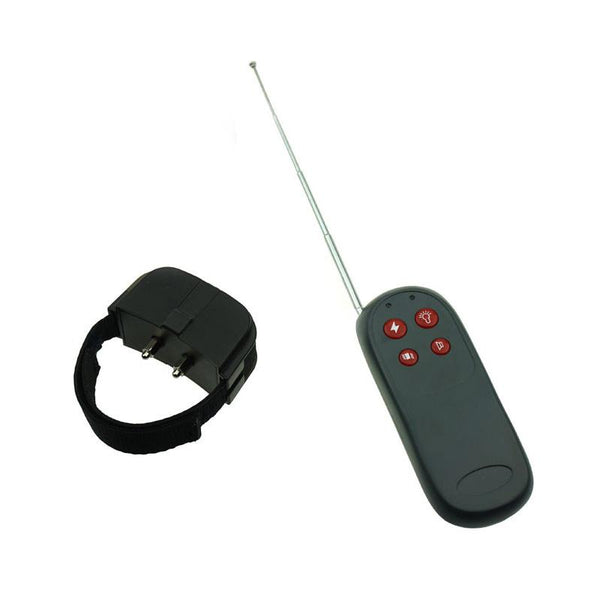 Electric Shock  Ring   Electro  Electro & Medical Play