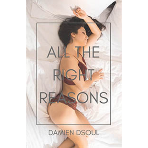 All The Right Reasons By Damien Dsoul 2020 Interracial Erotica Menage/Group Erotic Fiction