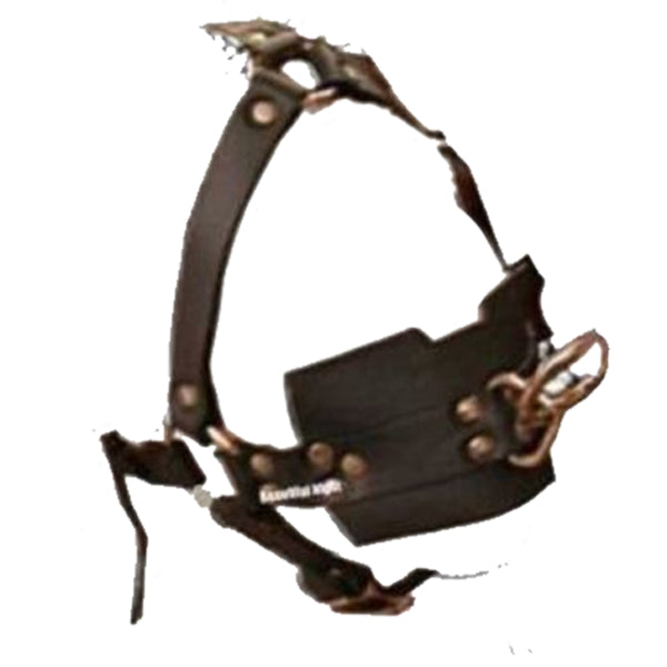 Ball Gag Head Harness Mask Muzzle Blindfold  Kink  Fetish Restraints Gags