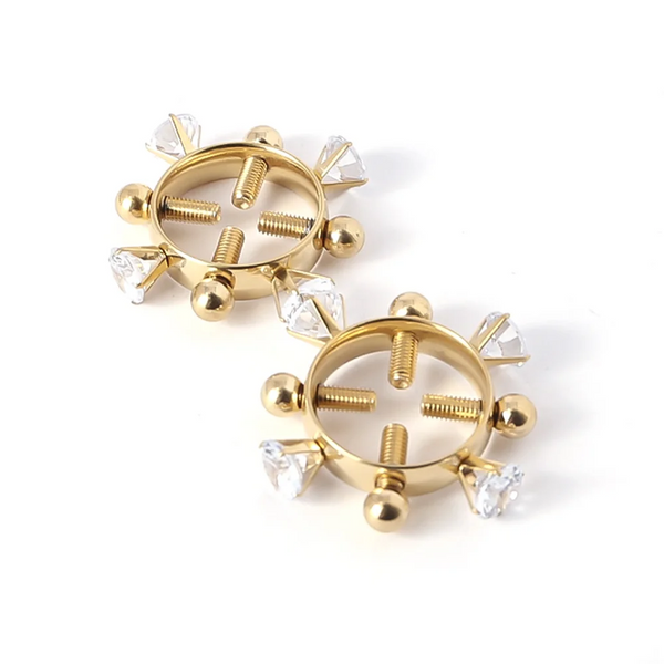 2Pcs Nipple Clamps Stainless Steel Crystal Ring Breast Clips Stimulator Erotic Sm Toys For Women 5 Colors Choose Nipple & Clitoral Toys