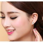Veile Studios Cute Lovely Dolphin Cubic Zirconia Crystal Earrings