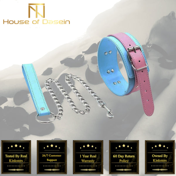 Cute Pastel Pink And Blue Collar With Leash  Puppy Pet Play Collars & Leashes