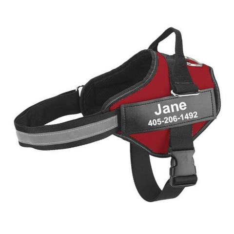 Easy Snap Reflective Dog Harness With Custom Id Patch Harnesses