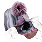 House Of Dasein Silicone Fantasy Animal Male Masturbator Pocket  Stroker Double Hole Artificial Masturbators