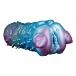 Sex Dolls & Masturbators House Of Dasein Silicone Fantasy Pocket Male Stroker Realistic DeepSea Creature Men Masturbators Penis Training Sex Toys