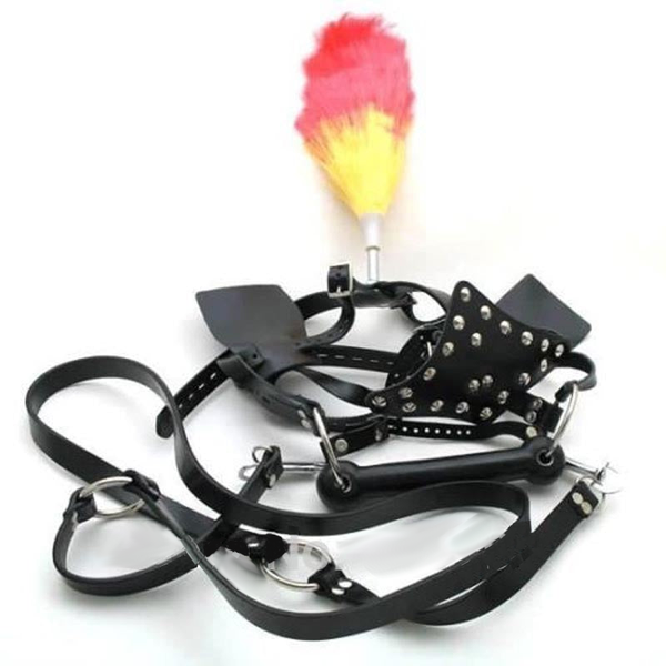 Faux Leather Pony Play  Pet With Reins Bit Gag Blinders Pet Play