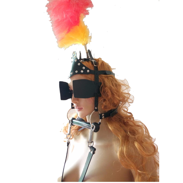 Faux Leather Pony Play  Pet With Reins Bit Gag Blinders Pet Play