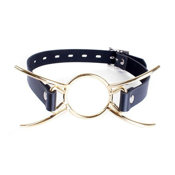 Metal Spider Gag Open Mouth  Kink Restraints Gags