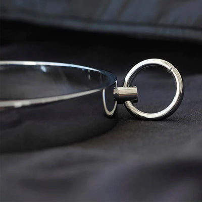 Locking Metal Collar  Slave Play  Kink Fetish Restraints Collars & Leashes