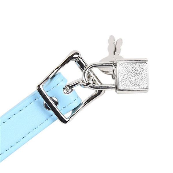 Pink Blue Silicone Ball Gag Locking   Restraints Gags