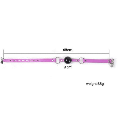 Pink Blue Silicone Ball Gag Locking   Restraints Gags